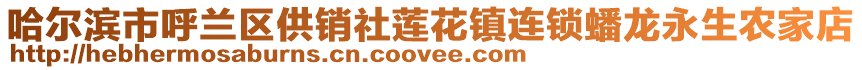 哈爾濱市呼蘭區供銷社蓮花鎮連鎖蟠龍永生農家店