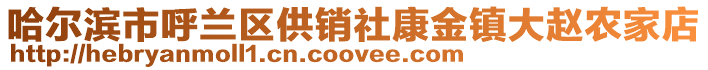 哈爾濱市呼蘭區供銷社康金鎮大趙農家店