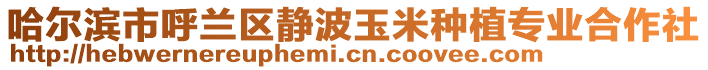哈爾濱市呼蘭區靜波玉米種植專業合作社