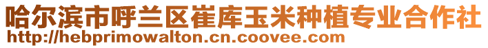 哈爾濱市呼蘭區崔庫玉米種植專業合作社