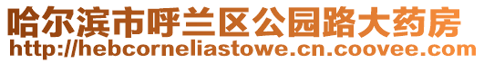哈爾濱市呼蘭區公園路大藥房