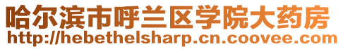 哈爾濱市呼蘭區學院大藥房