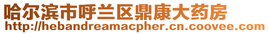哈爾濱市呼蘭區鼎康大藥房