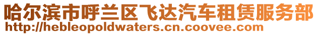 哈爾濱市呼蘭區(qū)飛達汽車租賃服務部