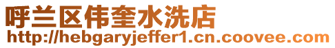 呼蘭區偉奎水洗店
