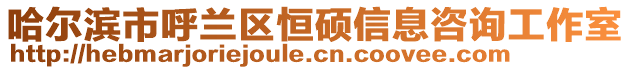 哈爾濱市呼蘭區(qū)恒碩信息咨詢工作室