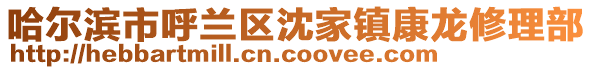 哈爾濱市呼蘭區(qū)沈家鎮(zhèn)康龍修理部