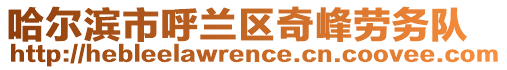 哈爾濱市呼蘭區奇峰勞務隊