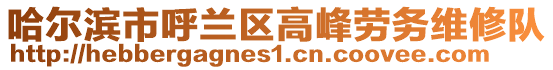 哈爾濱市呼蘭區高峰勞務維修隊