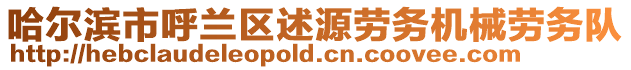 哈爾濱市呼蘭區(qū)述源勞務(wù)機(jī)械勞務(wù)隊(duì)