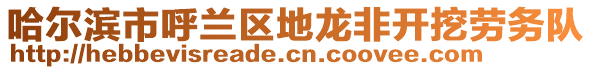 哈爾濱市呼蘭區地龍非開挖勞務隊