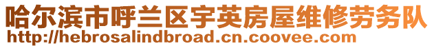 哈爾濱市呼蘭區宇英房屋維修勞務隊