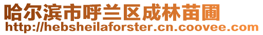 哈爾濱市呼蘭區(qū)成林苗圃