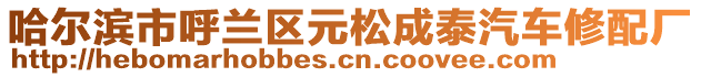 哈爾濱市呼蘭區(qū)元松成泰汽車修配廠