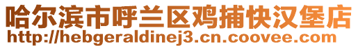 哈爾濱市呼蘭區(qū)雞捕快漢堡店