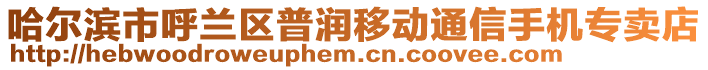 哈爾濱市呼蘭區(qū)普潤(rùn)移動(dòng)通信手機(jī)專賣店