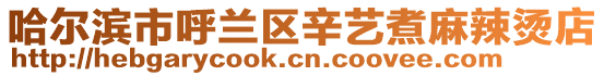 哈爾濱市呼蘭區(qū)辛藝煮麻辣燙店