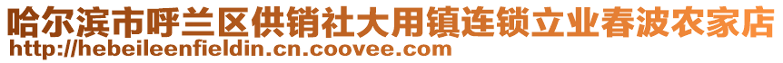 哈爾濱市呼蘭區(qū)供銷社大用鎮(zhèn)連鎖立業(yè)春波農(nóng)家店