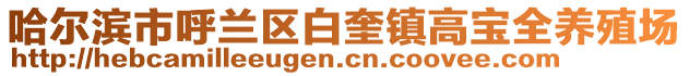 哈爾濱市呼蘭區白奎鎮高寶全養殖場