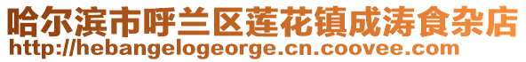 哈爾濱市呼蘭區(qū)蓮花鎮(zhèn)成濤食雜店