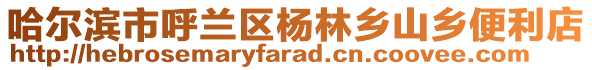 哈爾濱市呼蘭區(qū)楊林鄉(xiāng)山鄉(xiāng)便利店