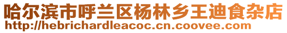 哈爾濱市呼蘭區楊林鄉王迪食雜店