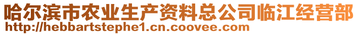 哈尔滨市农业生产资料总公司临江经营部