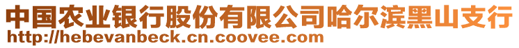 中國農(nóng)業(yè)銀行股份有限公司哈爾濱黑山支行