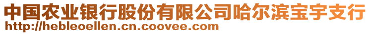 中國(guó)農(nóng)業(yè)銀行股份有限公司哈爾濱寶宇支行