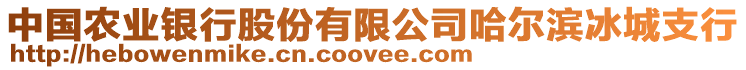 中國農業銀行股份有限公司哈爾濱冰城支行