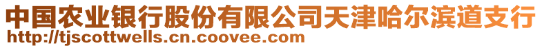 中國(guó)農(nóng)業(yè)銀行股份有限公司天津哈爾濱道支行