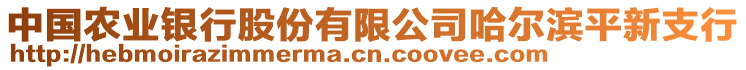 中国农业银行股份有限公司哈尔滨平新支行