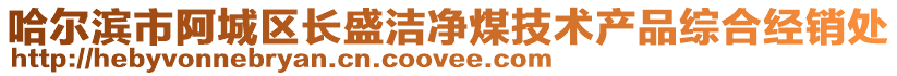 哈爾濱市阿城區長盛潔凈煤技術產品綜合經銷處