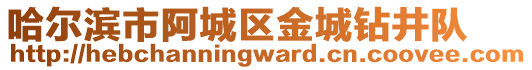 哈爾濱市阿城區(qū)金城鉆井隊