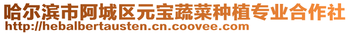 哈爾濱市阿城區(qū)元寶蔬菜種植專業(yè)合作社