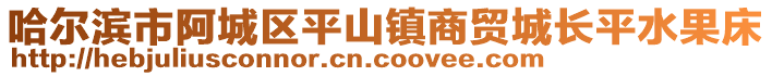 哈爾濱市阿城區(qū)平山鎮(zhèn)商貿(mào)城長(zhǎng)平水果床