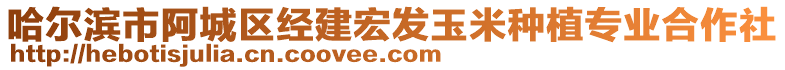 哈爾濱市阿城區(qū)經(jīng)建宏發(fā)玉米種植專業(yè)合作社