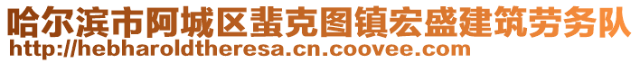 哈爾濱市阿城區(qū)蜚克圖鎮(zhèn)宏盛建筑勞務(wù)隊