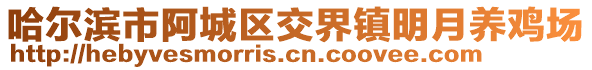 哈爾濱市阿城區(qū)交界鎮(zhèn)明月養(yǎng)雞場