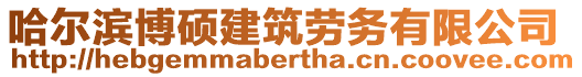 哈尔滨博硕建筑劳务有限公司