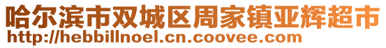 哈爾濱市雙城區(qū)周家鎮(zhèn)亞輝超市