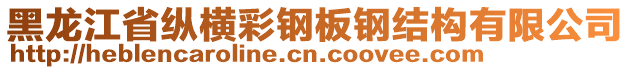 黑龍江省縱橫彩鋼板鋼結(jié)構(gòu)有限公司