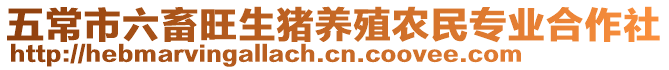 五常市六畜旺生豬養(yǎng)殖農(nóng)民專業(yè)合作社