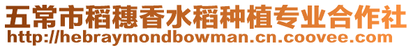 五常市稻穗香水稻種植專(zhuān)業(yè)合作社