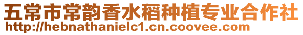 五常市常韻香水稻種植專業(yè)合作社