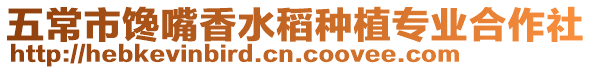 五常市饞嘴香水稻種植專業合作社