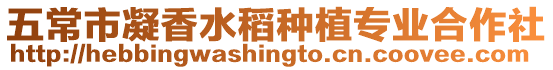 五常市凝香水稻種植專業合作社