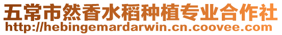 五常市然香水稻種植專業合作社