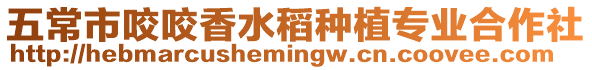 五常市咬咬香水稻種植專業(yè)合作社