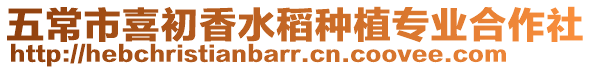 五常市喜初香水稻種植專業合作社